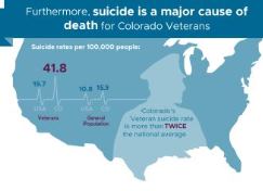 Veterans Infographic