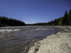 Upstream River - Social Determinants of Health